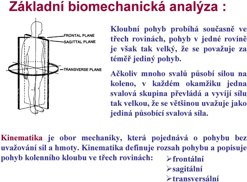 Ačkoliv mnoho svalů působí silou na koleno, v každém okamžiku jedna svalová skupina převládá a vyvíjí sílu tak velkou, že se většinou