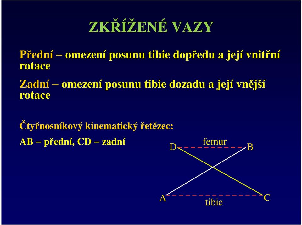 tibie dozadu a její vnější rotace Čtyřnosníkový