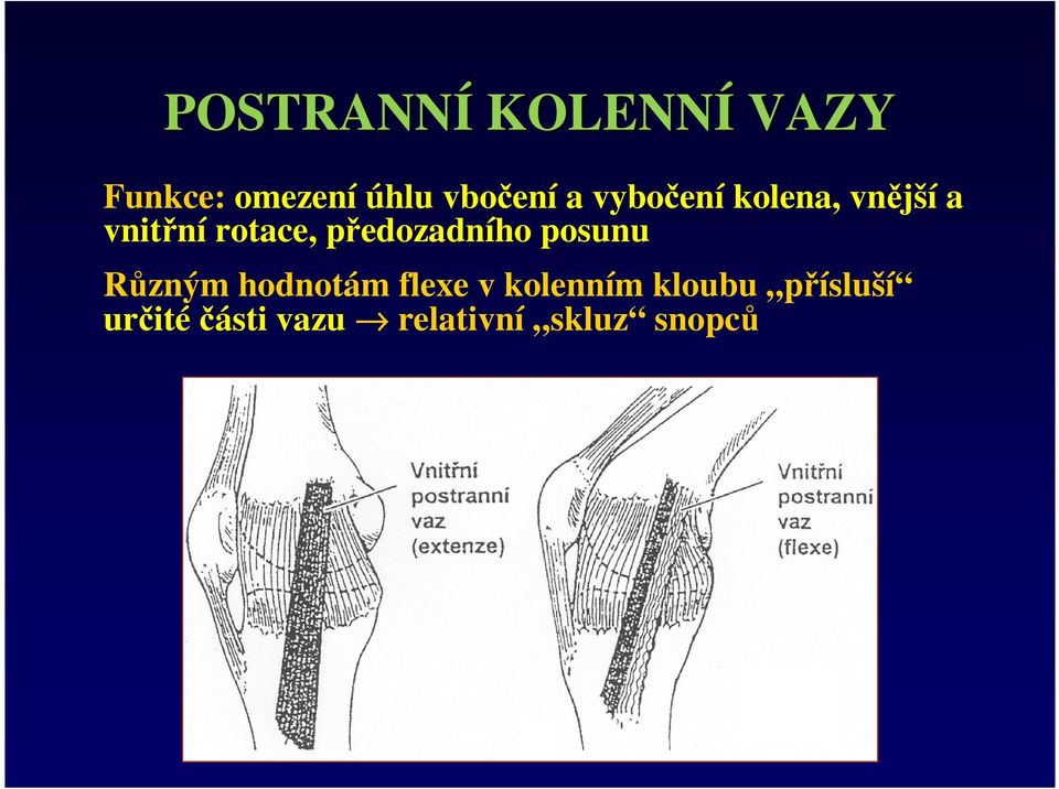 předozadního posunu Různým hodnotám flexe v