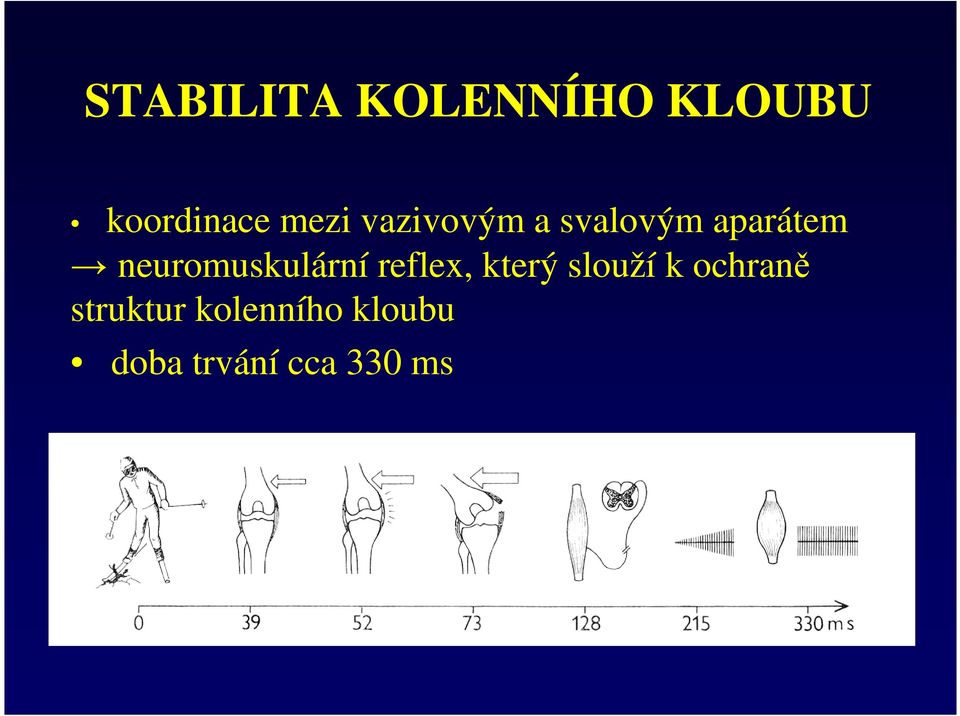 neuromuskulární reflex, který slouží k