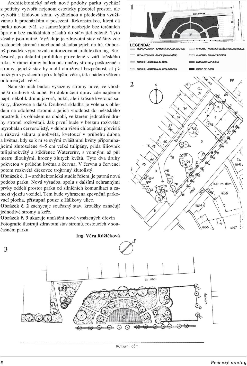 Vyžaduje je zdravotní stav většiny zde rostoucích stromů i nevhodná skladba jejich druhů. Odbor ný posudek vypracovala autorizovaná architektka ing.