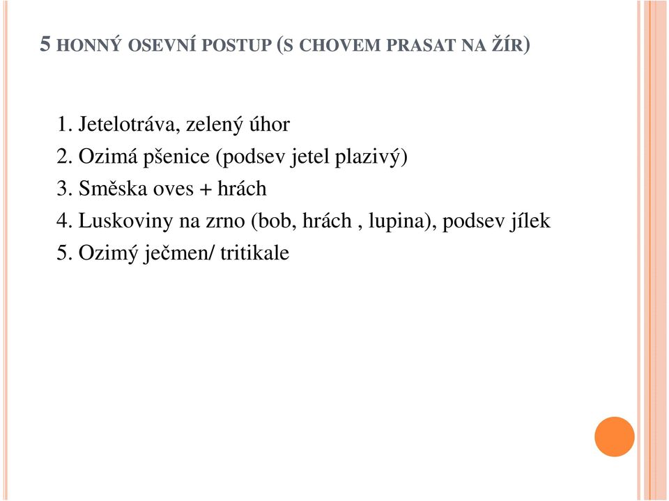 Ozimá pšenice (podsev jetel plazivý) 3.