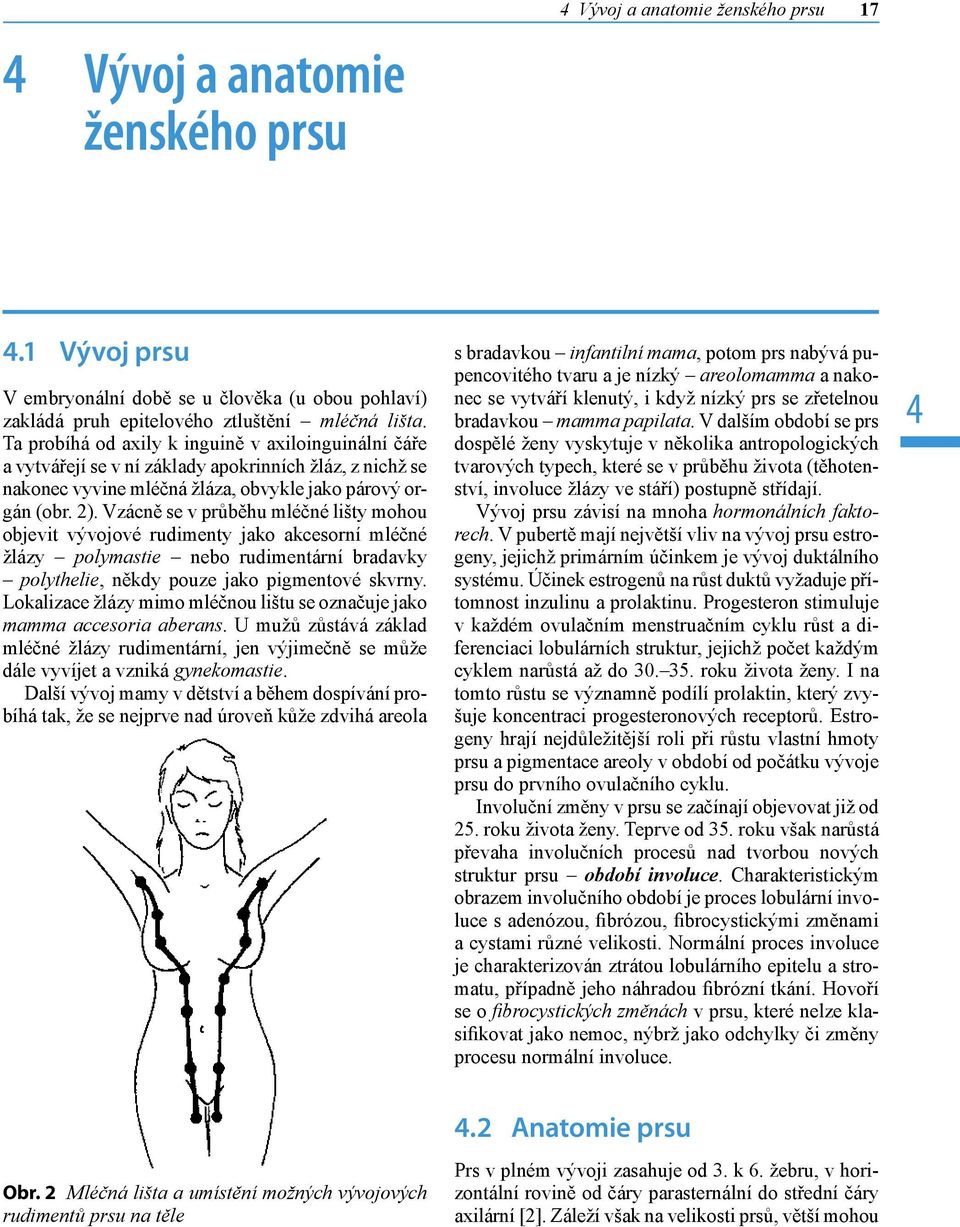 Vzácně se v průběhu mléčné lišty mohou objevit vývojové rudimenty jako akcesorní mléčné žlázy polymastie nebo rudimentární bradavky polythelie, někdy pouze jako pigmentové skvrny.