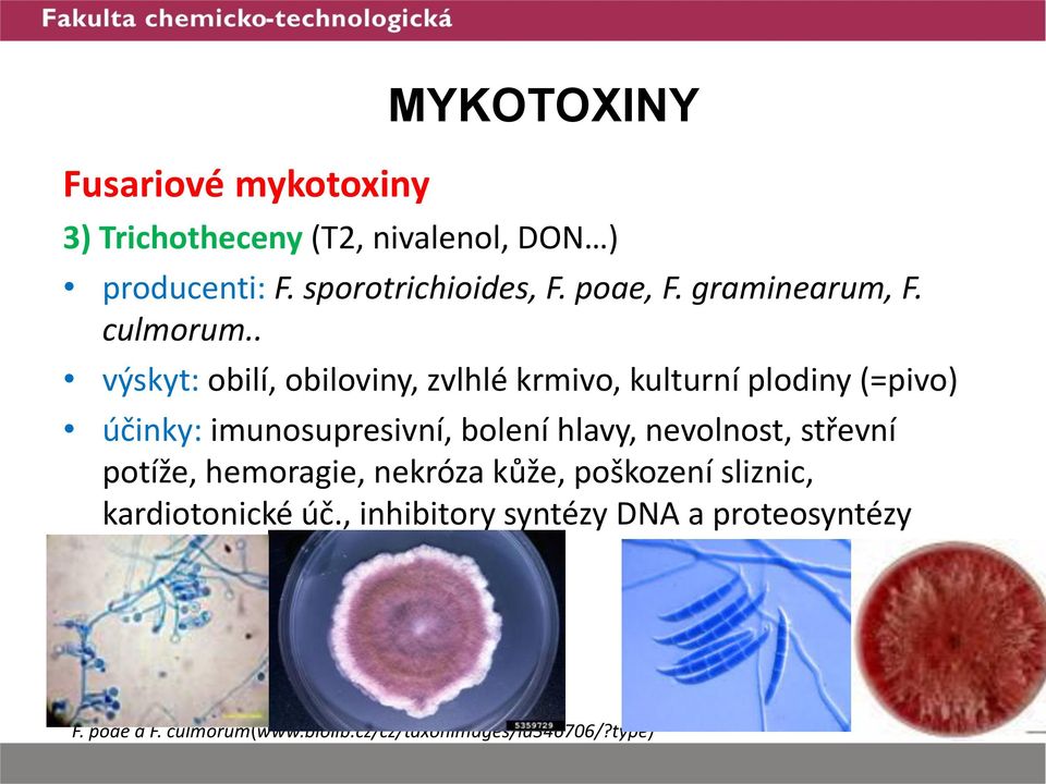 . výskyt: obilí, obiloviny, zvlhlé krmivo, kulturní plodiny (=pivo) účinky: imunosupresivní, bolení hlavy,