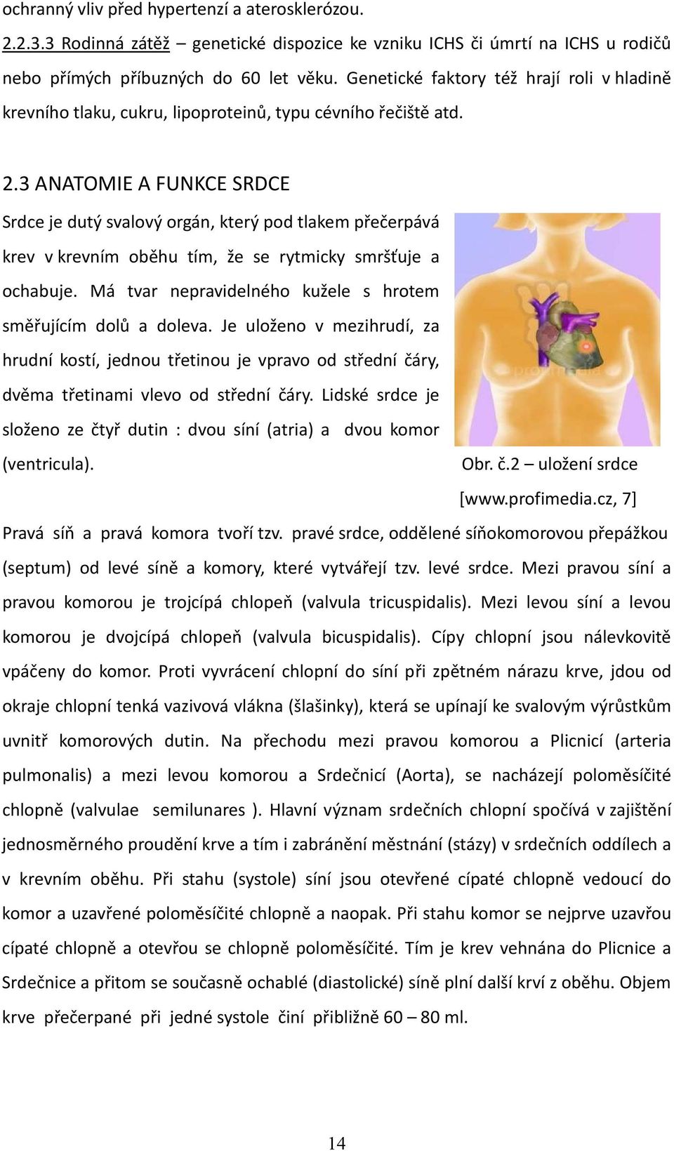 3 ANATOMIE A FUNKCE SRDCE Srdce je dutý svalový orgán, který pod tlakem přečerpává krev v krevním oběhu tím, že se rytmicky smršťuje a ochabuje.