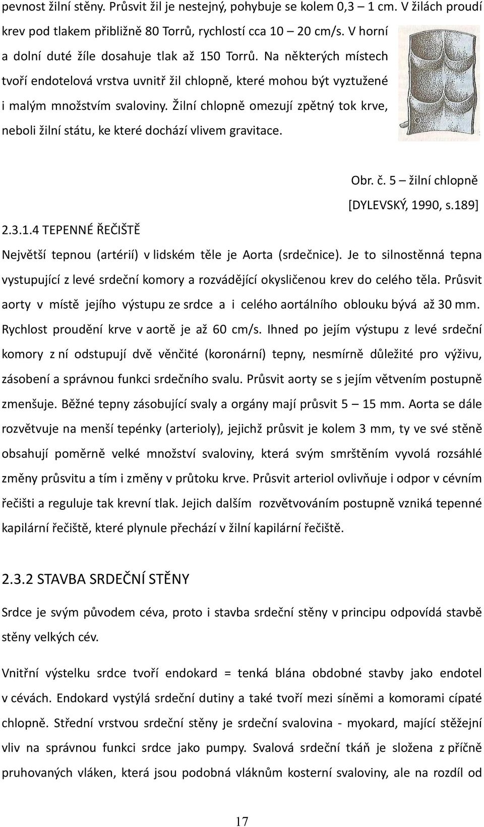 Žilní chlopně omezují zpětný tok krve, neboli žilní státu, ke které dochází vlivem gravitace. Obr. č. 5 žilní chlopně [DYLEVSKÝ, 19