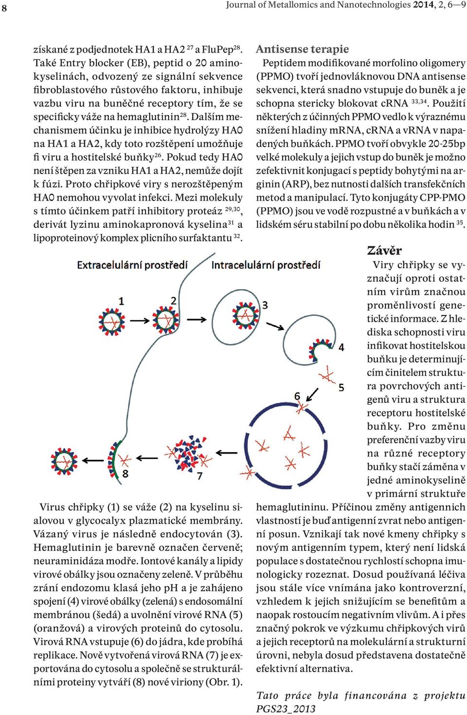 hemaglutinin 28. Dalším mechanismem účinku je inhibice hydrolýzy HA0 na HA1 a HA2, kdy toto rozštěpení umožňuje fi viru a hostitelské buňky 26.