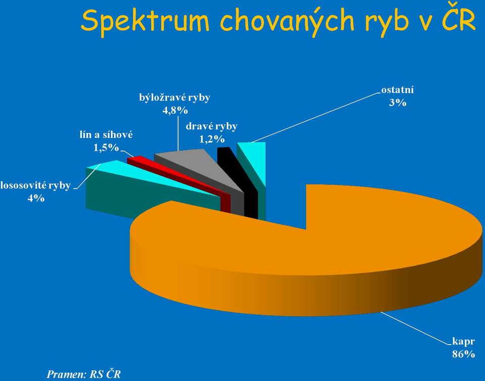 ryb v ČR