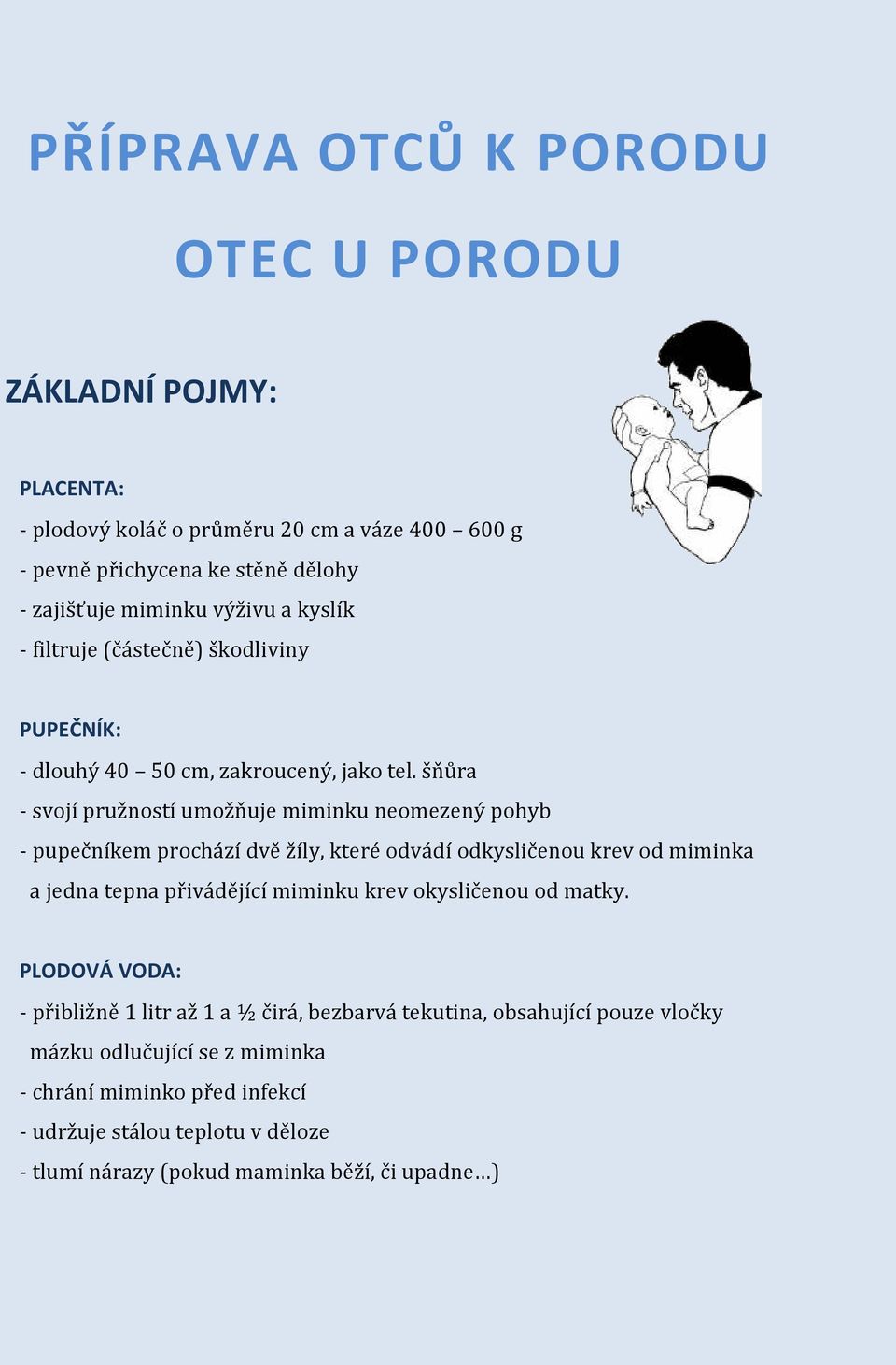 šňůra - svojí pružností umožňuje miminku neomezený pohyb - pupečníkem prochází dvě žíly, které odvádí odkysličenou krev od miminka a jedna tepna přivádějící miminku krev