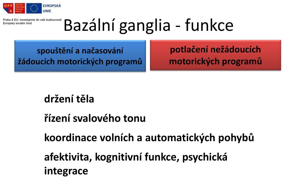 programů držení těla řízení svalového tonu koordinace volních