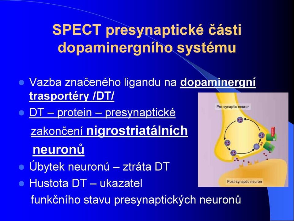 presynaptické zakončení nigrostriatálních neuronů Úbytek