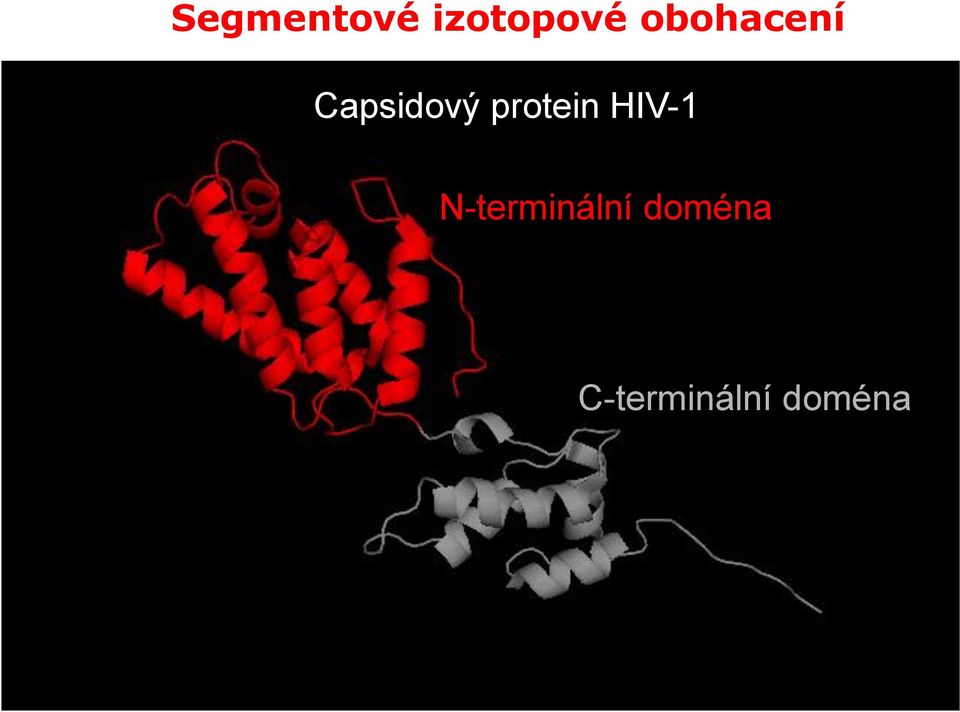 protein HIV-1