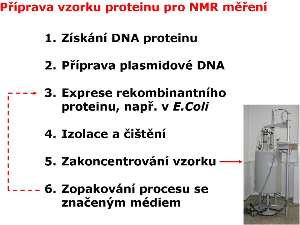 Exprese rekombinantního proteinu, např. v E.Coli 4.