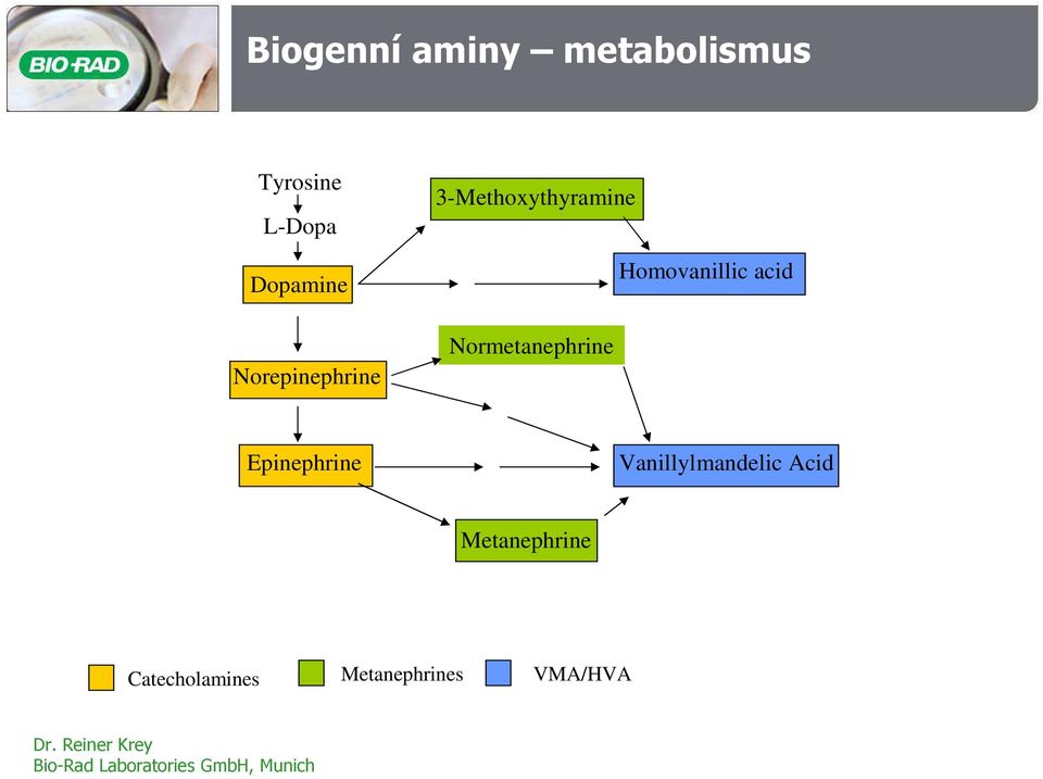 Normetanephrine Homovanillic acid Epinephrine