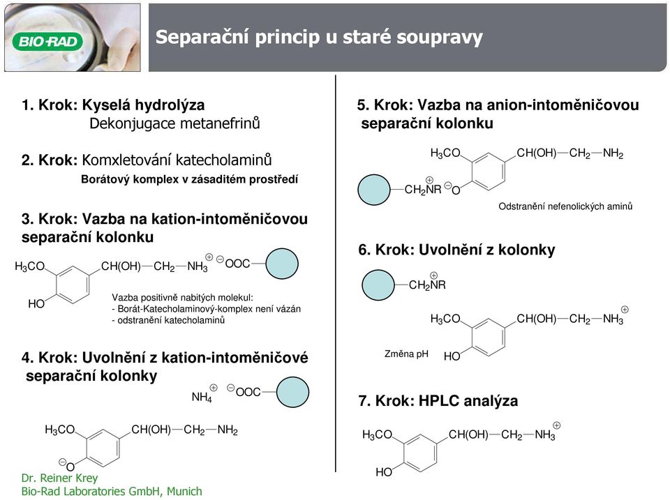 Borát-Katecholaminový-komplex není vázán - odstranění katecholaminů 5. Krok: Vazba na anion-intoměničovou separační kolonku CH 2 NR 6.