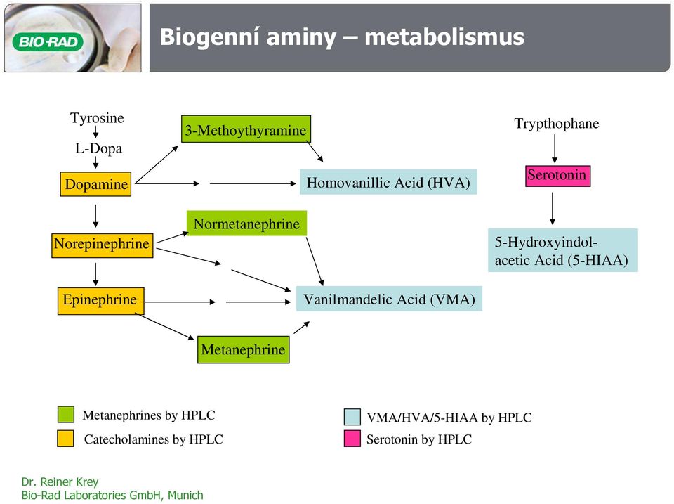 (VMA) Trypthophane Serotonin 5-Hydroxyindolacetic Acid (5-HIAA) Metanephrine