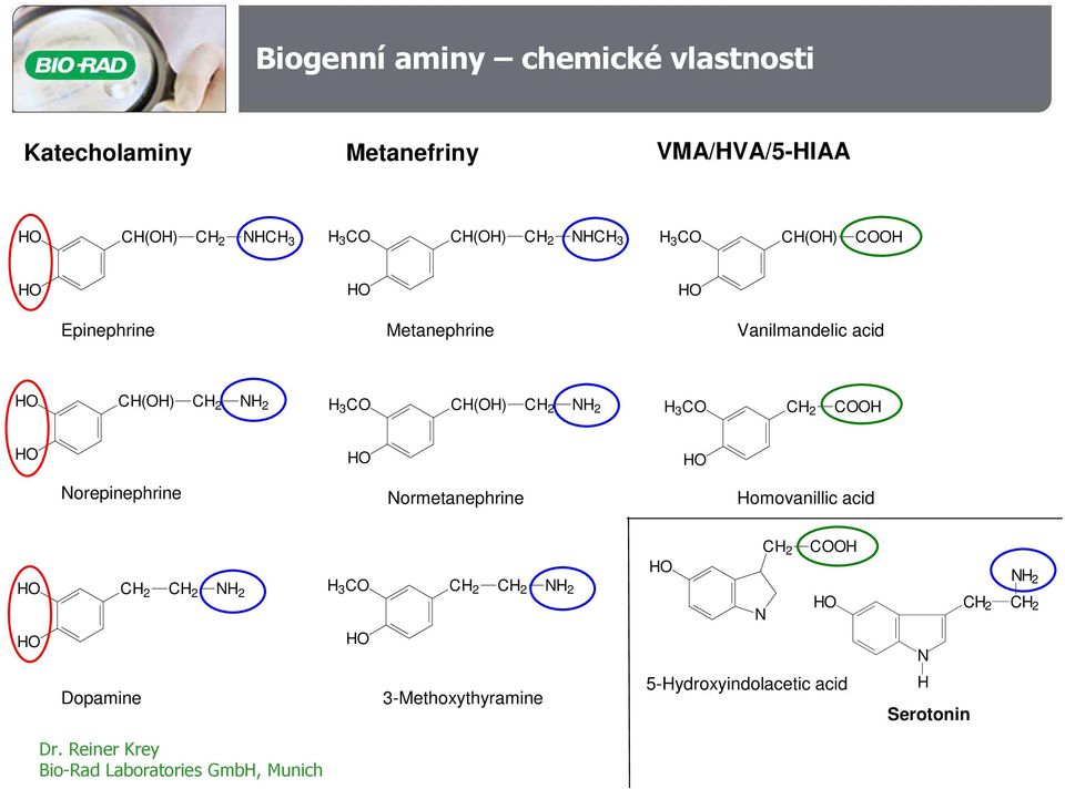 CH(OH) CH 2 NH 2 CH 2 COOH Norepinephrine Normetanephrine Homovanillic acid CH 2 CH 2 NH 2 CH 2