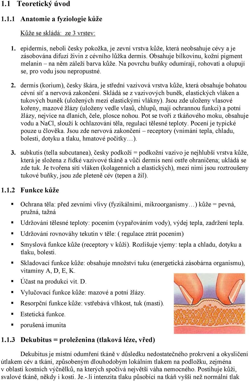 Na povrchu buňky odumírají, rohovatí a olupují se, pro vodu jsou nepropustné. 2. dermis (korium), česky škára, je střední vazivová vrstva kůže, která obsahuje bohatou cévní síť a nervová zakončení.