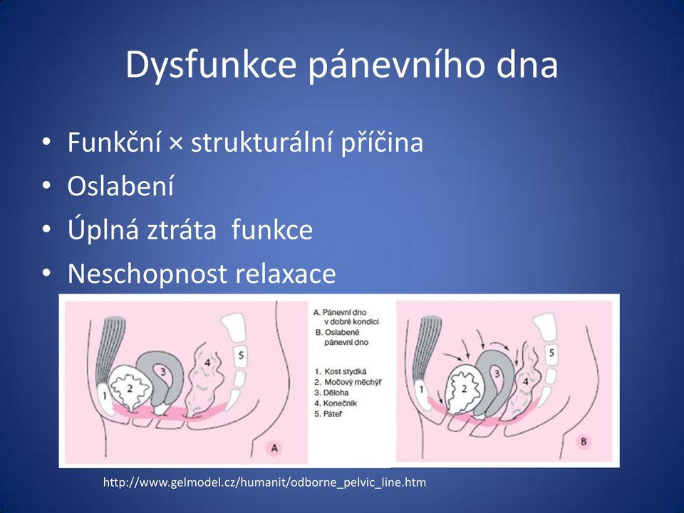 ztráta funkce Neschopnost relaxace