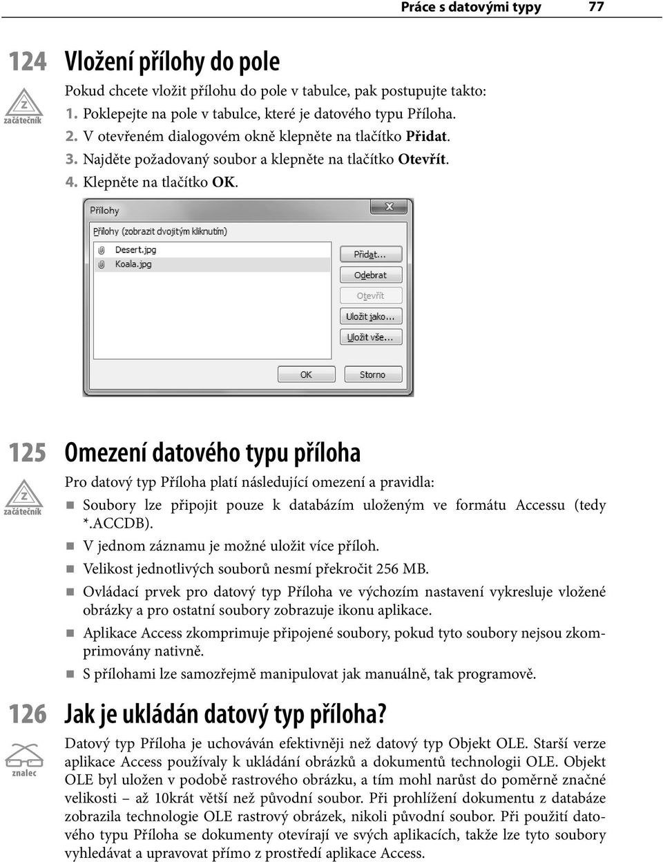 125 Omezení datového typu příloha Pro datový typ Příloha platí následující omezení a pravidla: Soubory lze připojit pouze k databázím uloženým ve formátu Accessu (tedy *.ACCDB).