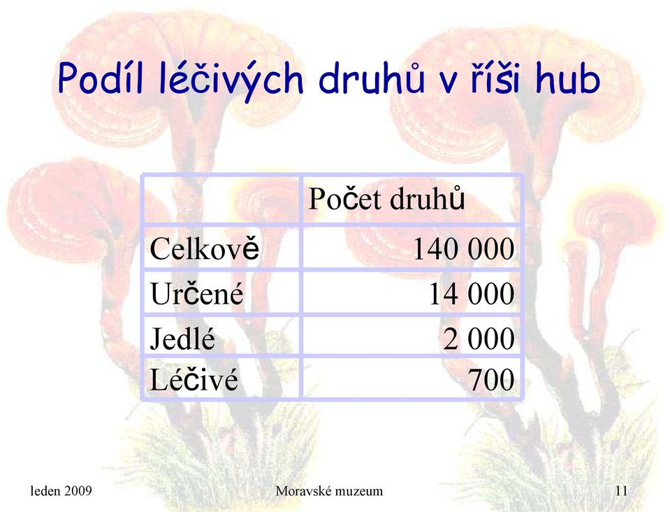 Počet druhů 140 000 14 000 2