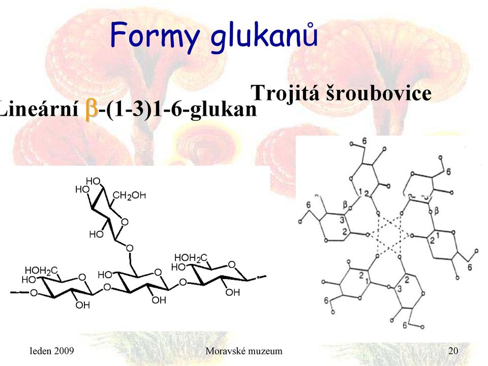 β-(1-3)1-6-glukan