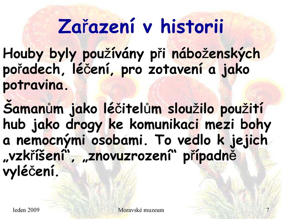 Šamanům jako léčitelům sloužilo použití hub jako drogy ke komunikaci mezi