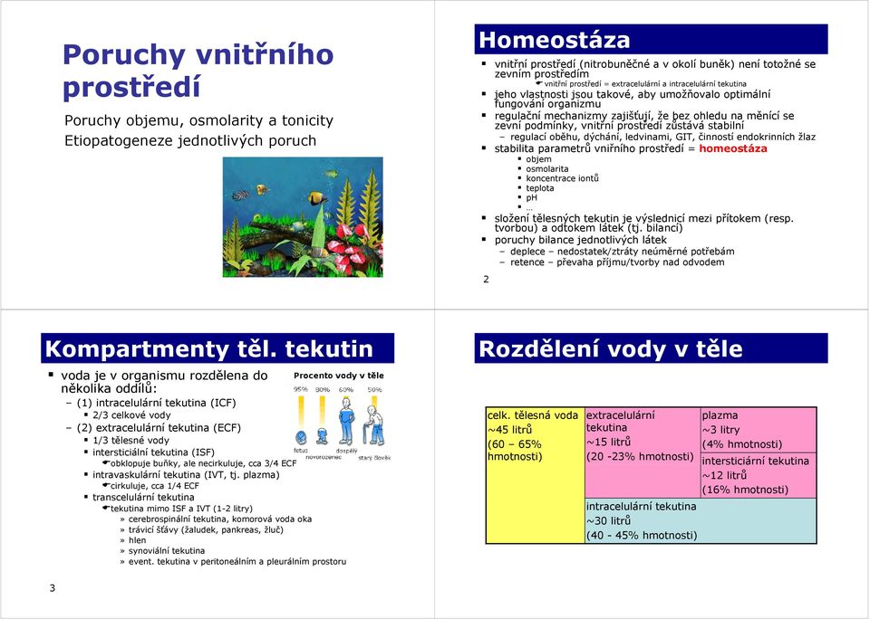 zevní podmínky, vnitřní ř prostředí ř zůstává ů á stabilní regulacíoběhu, dýchání, ledvinami, GIT, činností endokrinních žlaz stabilita parametrů vniřního prostředí = homeostáza objem osmolarita