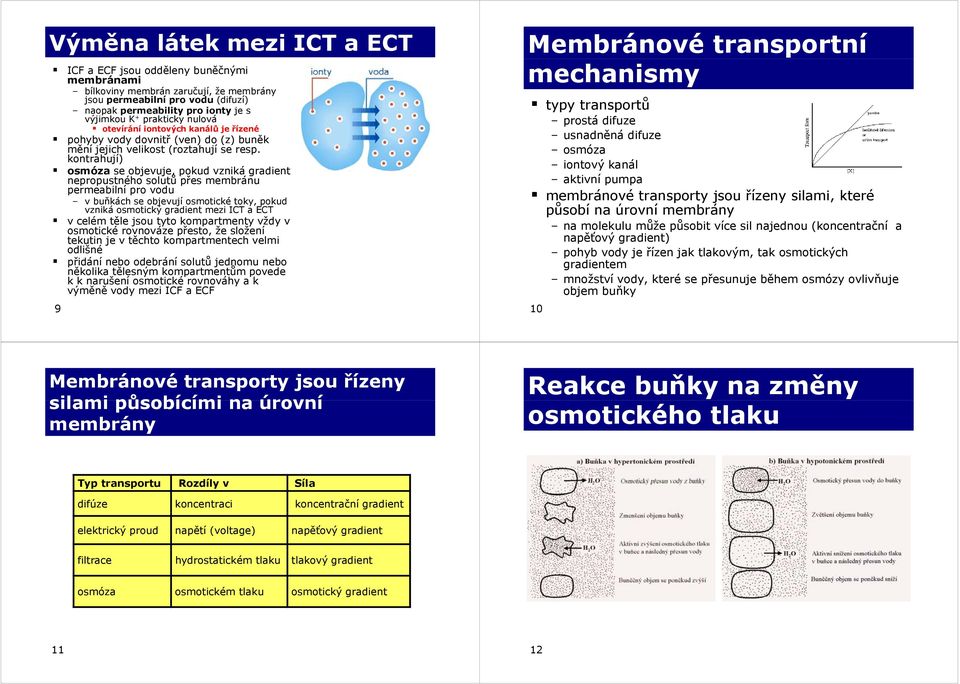 kontrahují) osmóza se objevuje, pokud vzniká gradient nepropustného solutů přes membránu permeabilní pro vodu v buňkách se objevují osmotické toky, pokud vzniká osmotický gradient mezi ICT a ECT v