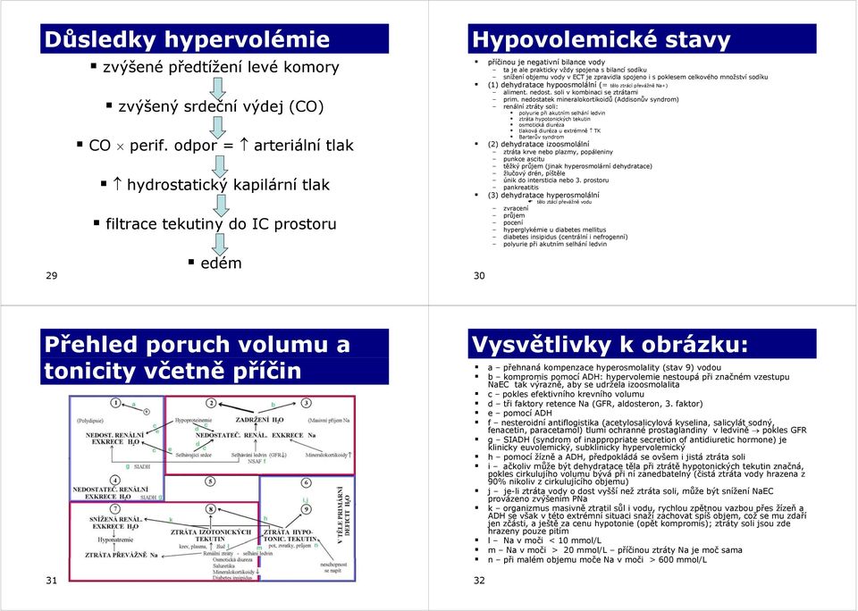 snížení objemu vody v ECT je zpravidla spojeno i s poklesem celkového množství sodíku (1) dehydratace hypoosmolální (= tělo ztrácí převážně Na+) aliment. nedost. soli v kombinaci se ztrátami prim.