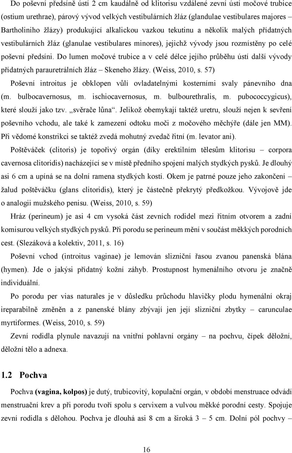 Do lumen močové trubice a v celé délce jejího průběhu ústí další vývody přídatných parauretrálních žláz Skeneho žlázy. (Weiss, 2010, s.