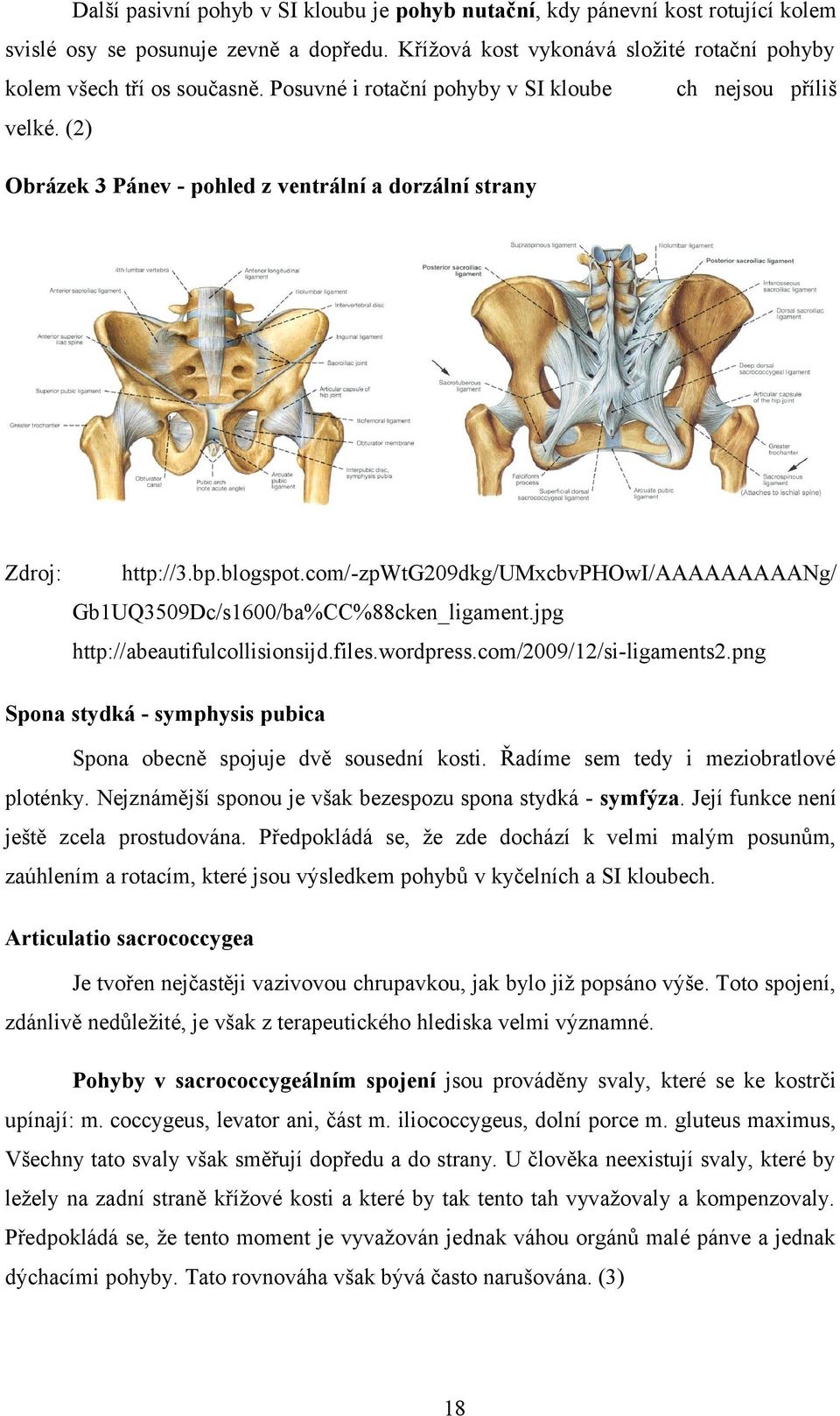 com/-zpwtg209dkg/umxcbvphowi/aaaaaaaaang/ Gb1UQ3509Dc/s1600/ba%CC%88cken_ligament.jpg http://abeautifulcollisionsijd.files.wordpress.com/2009/12/si-ligaments2.