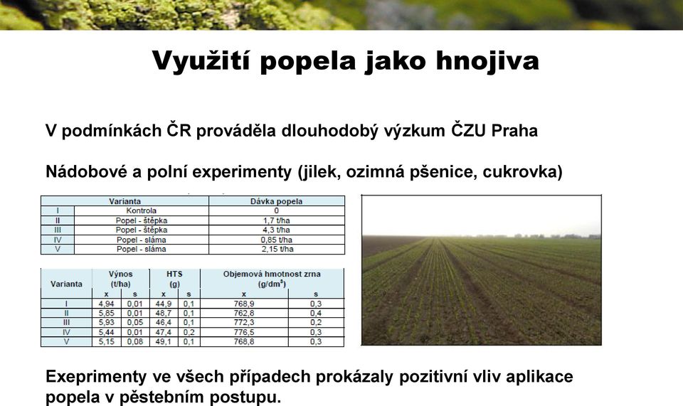 (jilek, ozimná pšenice, cukrovka) Exeprimenty ve všech