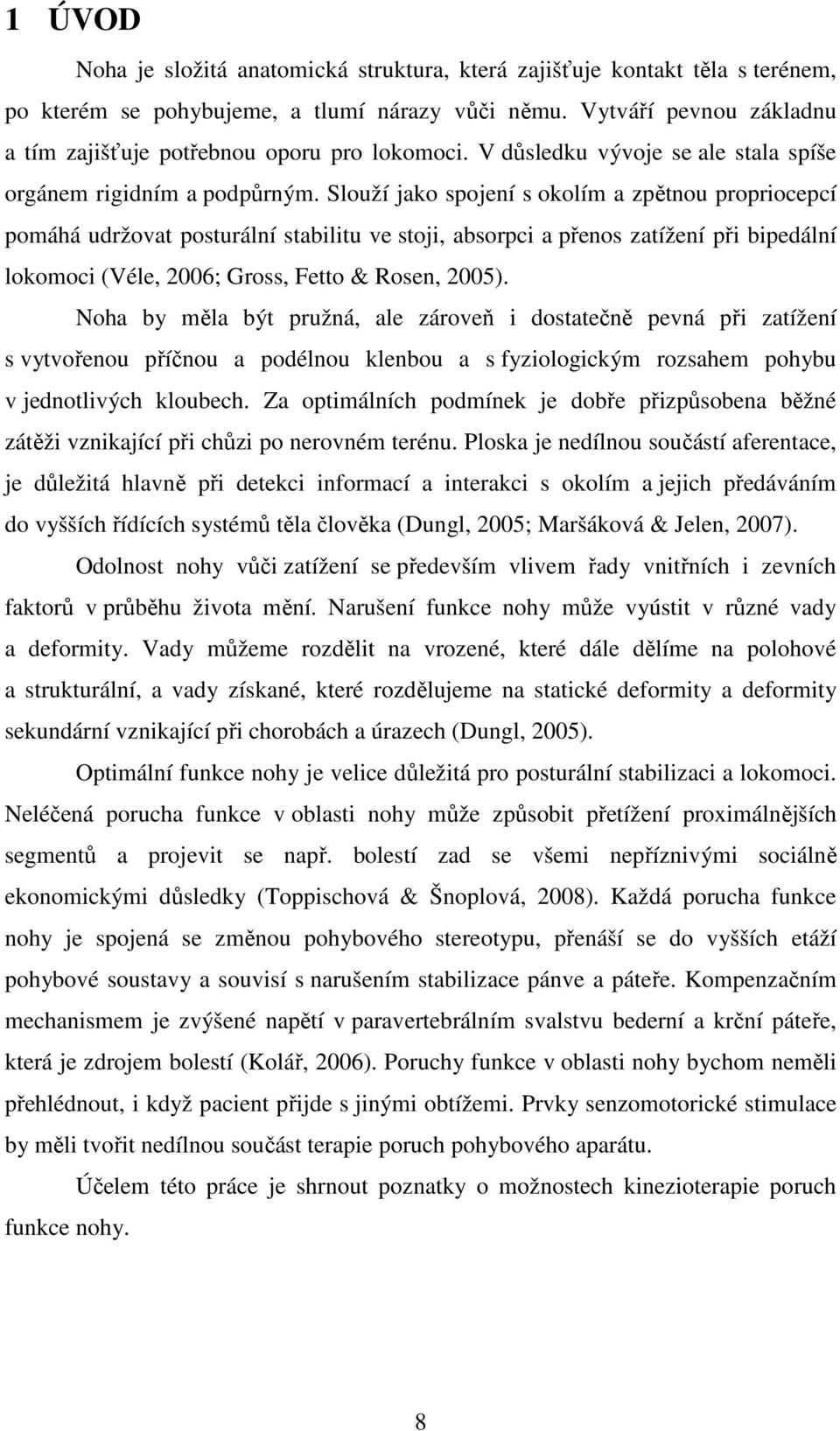 Slouží jako spojení s okolím a zpětnou propriocepcí pomáhá udržovat posturální stabilitu ve stoji, absorpci a přenos zatížení při bipedální lokomoci (Véle, 2006; Gross, Fetto & Rosen, 2005).