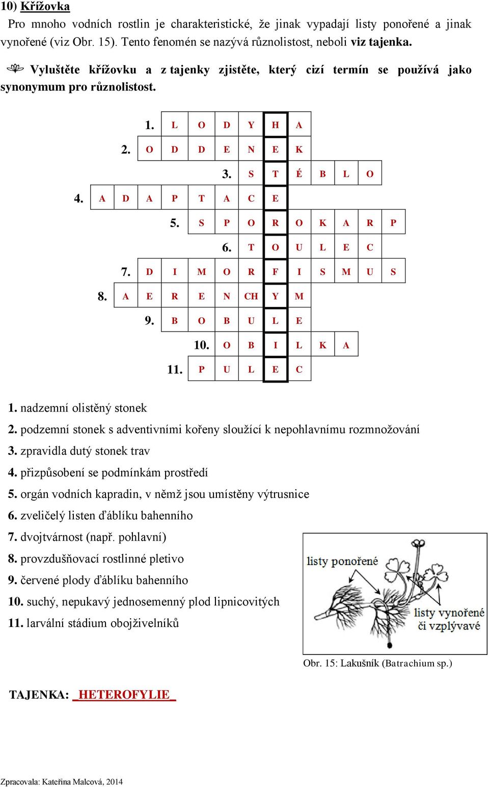T O U L E C 7. D I M O R F I S M U S 8. A E R E N CH Y M 9. B O B U L E 10. O B I L K A 11. P U L E C 1. nadzemní olistěný stonek 2.