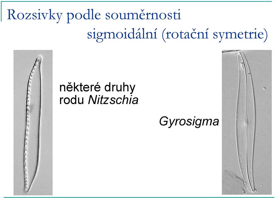 (rotační symetrie)