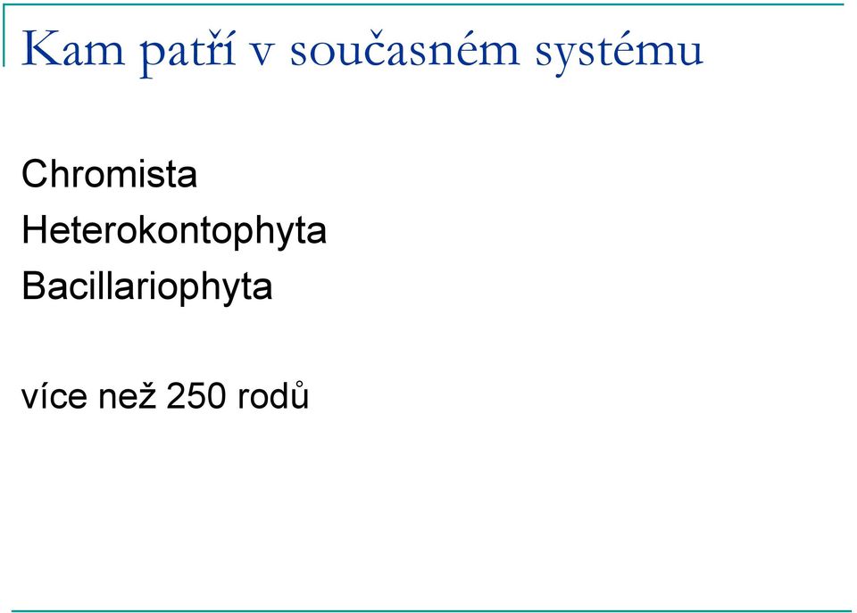 Heterokontophyta