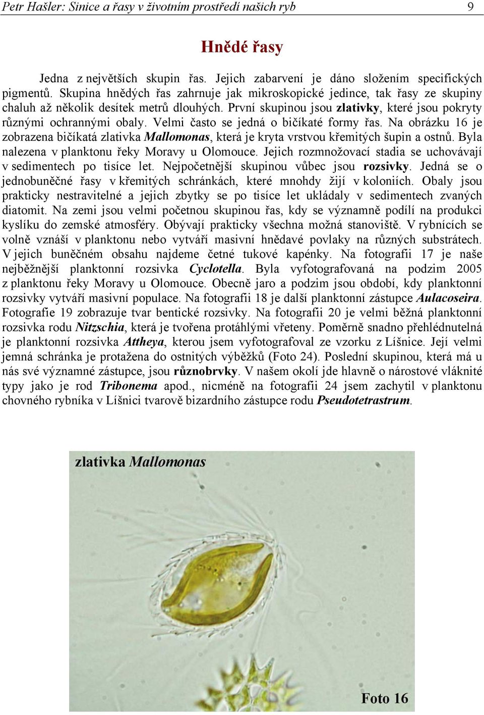 Velmi často se jedná o bičíkaté formy řas. Na obrázku 16 je zobrazena bičíkatá zlativka Mallomonas, která je kryta vrstvou křemitých šupin a ostnů. Byla nalezena v planktonu řeky Moravy u Olomouce.