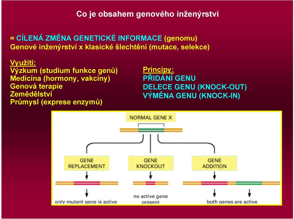 (studium funkce genů) Medicína (hormony, vakcíny) Genová terapie Zemědělství