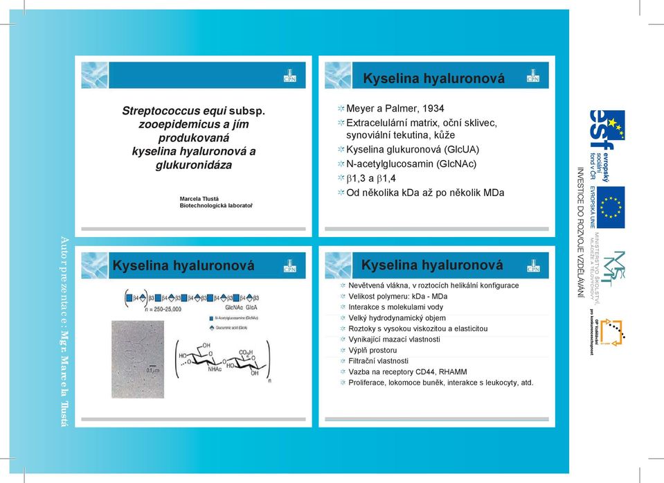 synoviální tekutina, k Kyselina glukuronová (GlcUA) N-acetylglucosamin (GlcNAc) c) 1,3 a 1,4 Od n kolik MDa Kyselina hyaluronová Kyselina hyaluronová Nev tvená vlákna, v