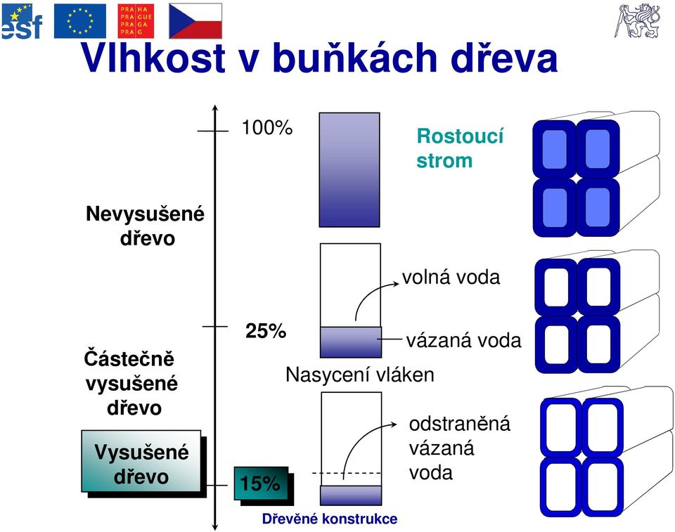 dřevo 25% Vysušené dřevo 15% Nasycení