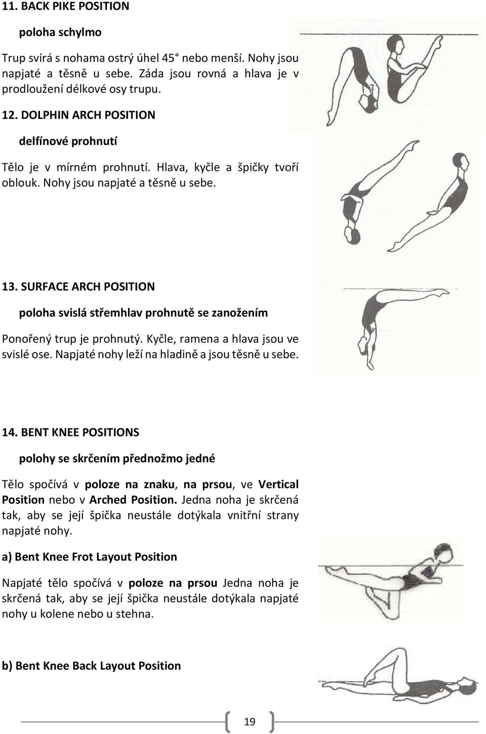 SURFACE ARCH POSITION poloha svislá střemhlav prohnutě se zanožením Ponořený trup je prohnutý. Kyčle, ramena a hlava jsou ve svislé ose. Napjaté nohy leží na hladině a jsou těsně u sebe. 14.
