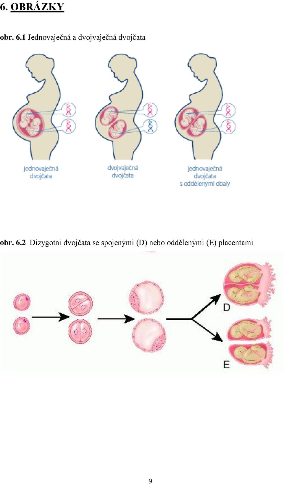 dvojčata obr. 6.