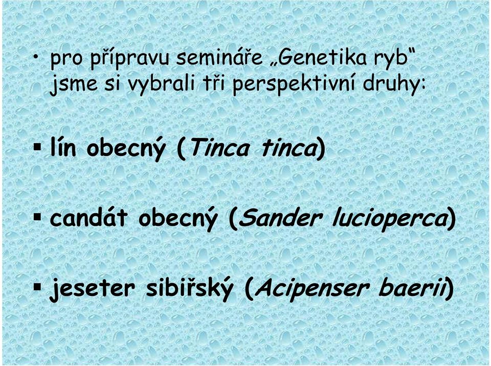 (Tinca tinca) candát obecný (Sander