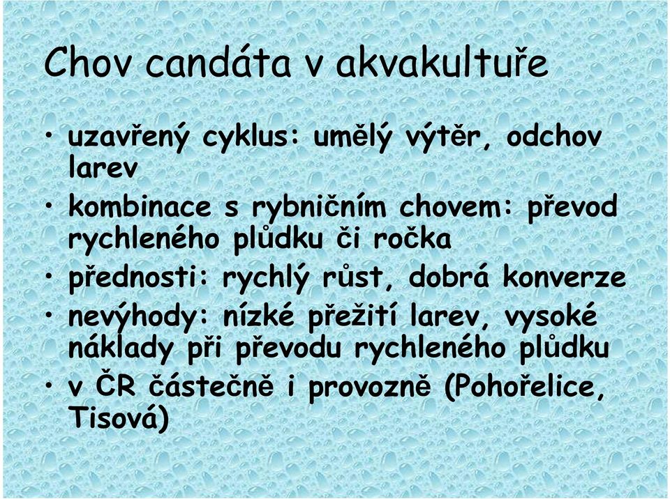 přednosti: rychlý růst, dobrá konverze nevýhody: nízké přežití larev,