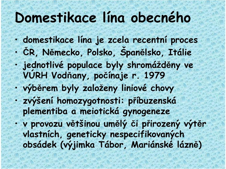 1979 výběrem byly založeny liniové chovy zvýšení homozygotnosti: příbuzenská plementiba a meiotická