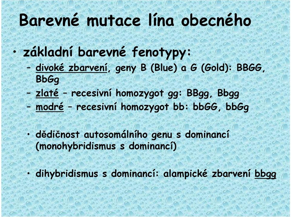 recesivní homozygot bb: bbgg, bbgg dědičnost autosomálního genu s dominancí