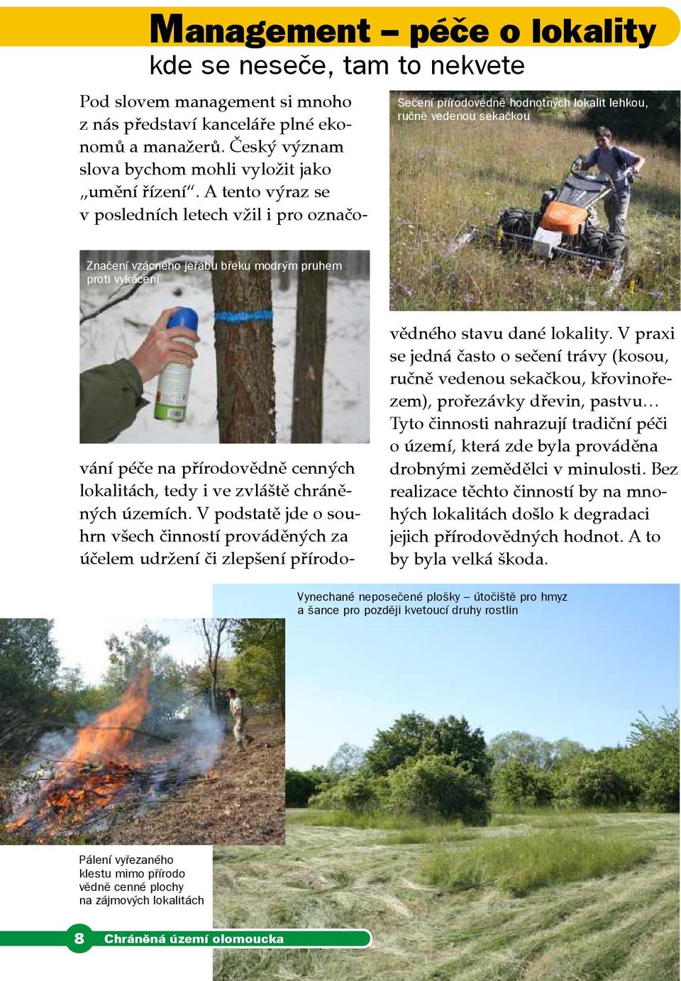 představí kanceláře plné ekonomů a manažerů Český význam slova bychom mohli vyložit jako umění řízení A tento výraz se v posledních letech vžil i pro označovědného stavu dané lokality V praxi se