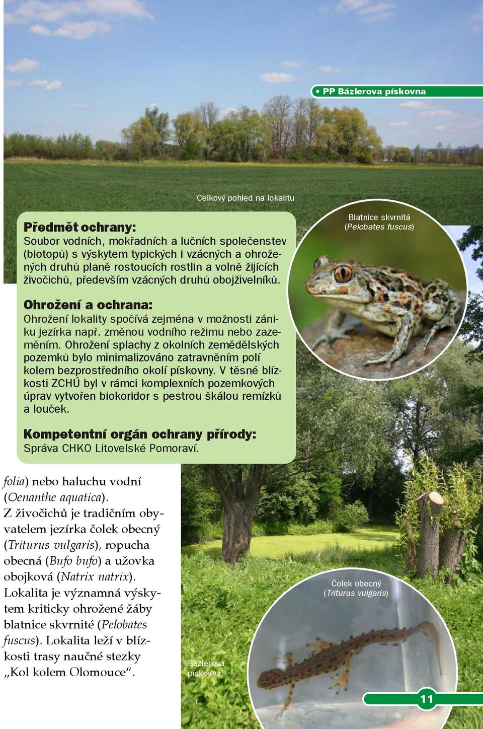 Ohrožení splachy z okolních zemědělských pozemků bylo minimalizováno zatravněním polí kolem bezprostředního okolí pískovny V těsné blízkosti ZCHÚ byl v rámci komplexních pozemkových úprav vytvořen