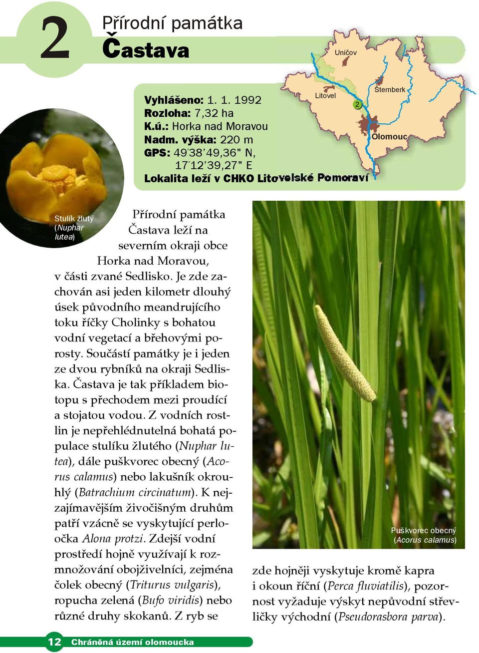 meandrujícího toku říčky Cholinky s bohatou vodní vegetací a břehovými porosty Součástí památky je i jeden ze dvou rybníků na okraji Sedliska Častava je tak příkladem biotopu s přechodem mezi